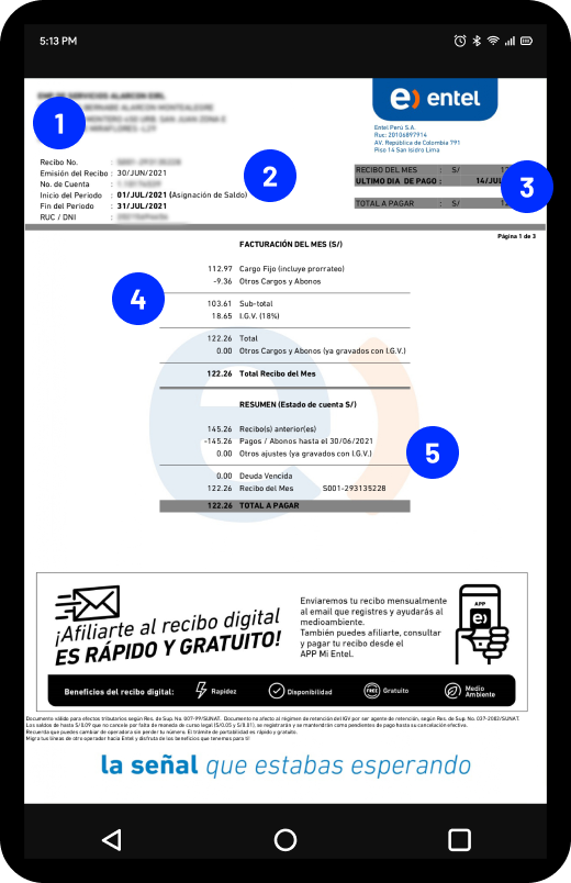 Recibo Entel - Vista principal Recibo Entel - Vista principal