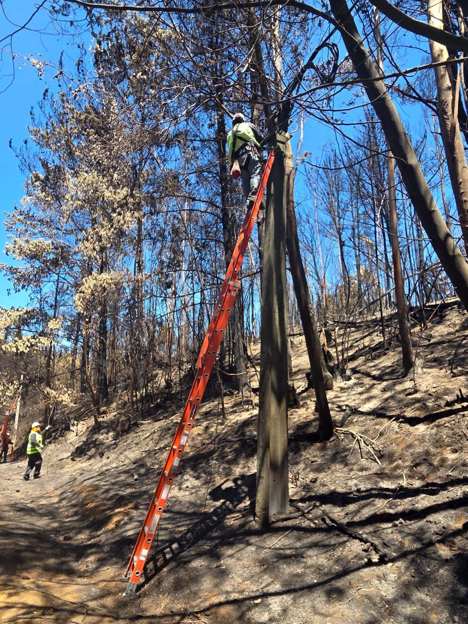 Tecnico Entel En Terreno 2