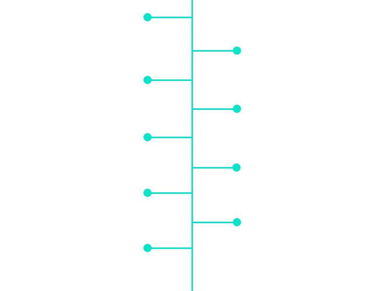 72-linea-de-tiempo-wiper