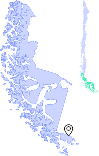 grafico mbps en puerto williams