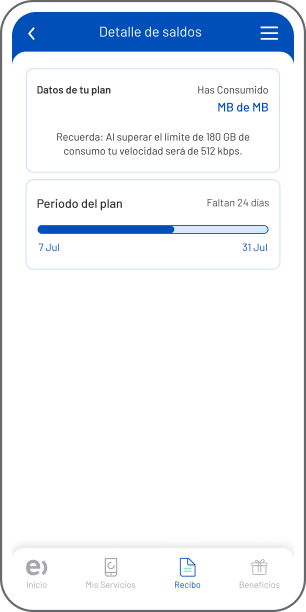 Consultar los detalles de tu saldo