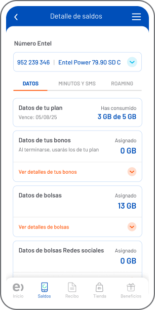 Consultar los detalles de tu saldo
