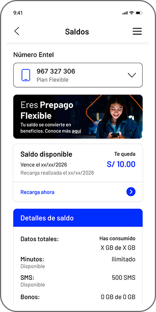 Consultar los detalles de tu saldo