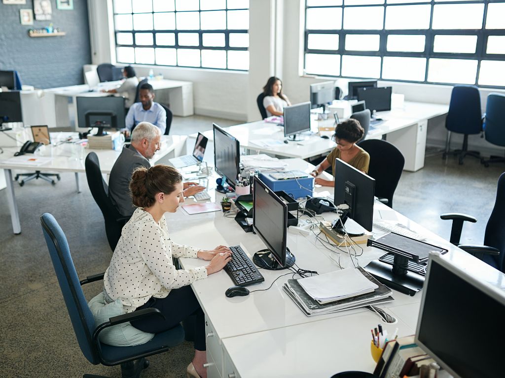 Grupo de personas que forman parte de un directorio. 
