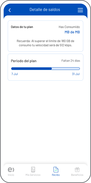 Consultar los detalles de tu saldo