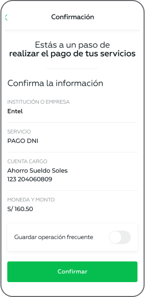 Paso 6 - Valida los datos de monto a pagar.