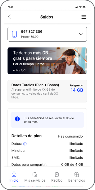 Consultar los detalles de tu saldo